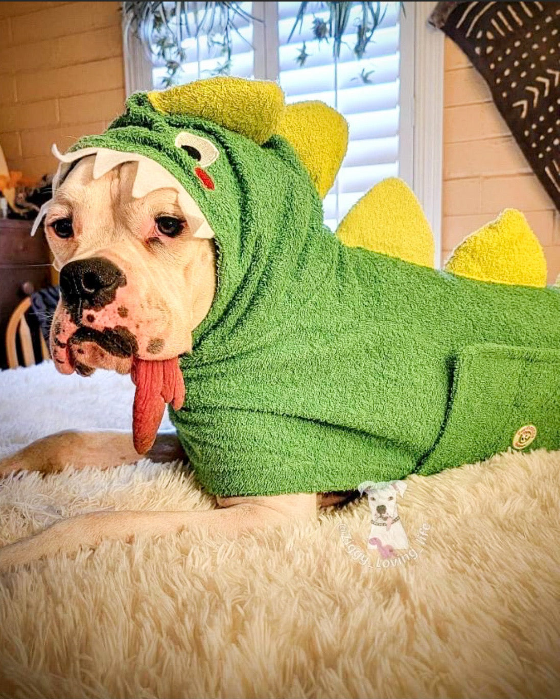 PAW-Robe Dinosaur 🦖